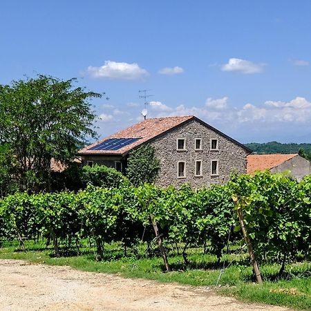 Seiterre Agriturismo Tenuta San Leone Villa Valeggio sul Mincio Exterior photo