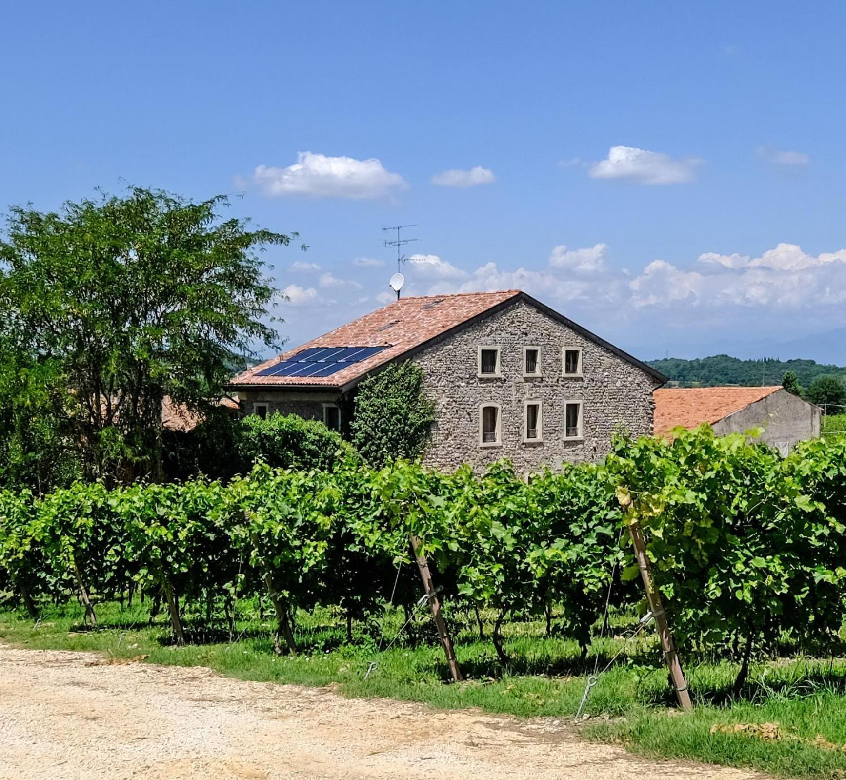 Seiterre Agriturismo Tenuta San Leone Villa Valeggio sul Mincio Exterior photo