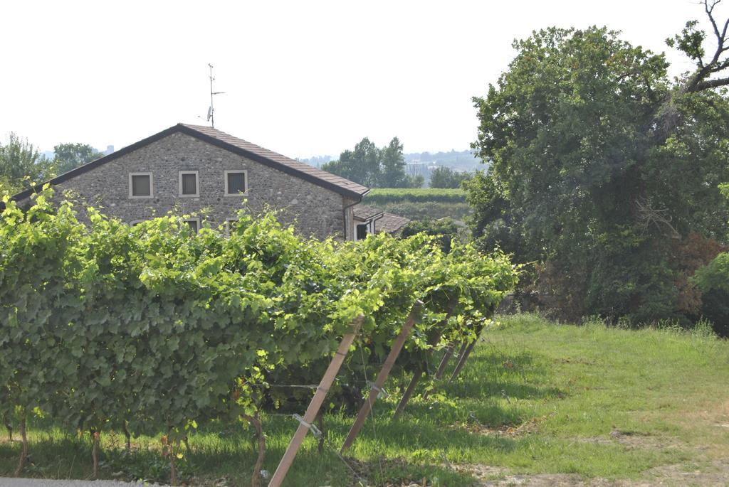 Seiterre Agriturismo Tenuta San Leone Villa Valeggio sul Mincio Exterior photo